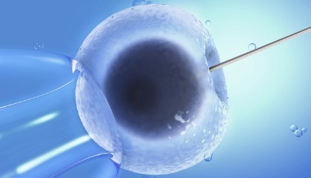 好孕案例